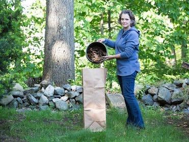 Woman Bagging Fall Leaves